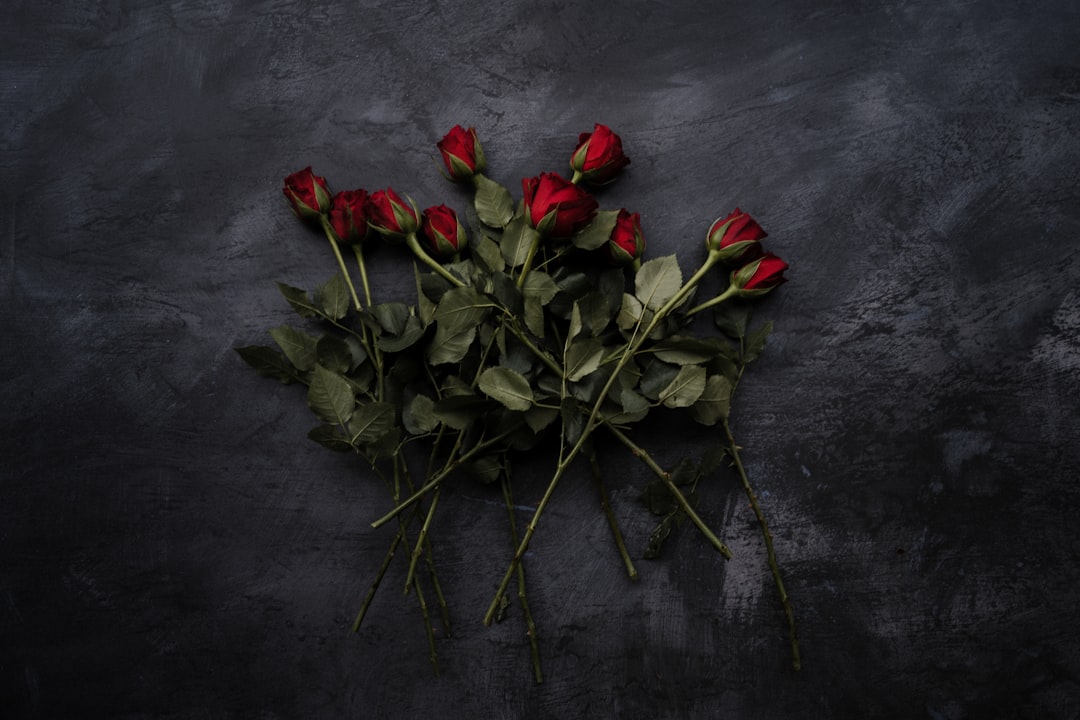 Het liefdesleven van Rob Jetten: Vriend en toekomstplannen