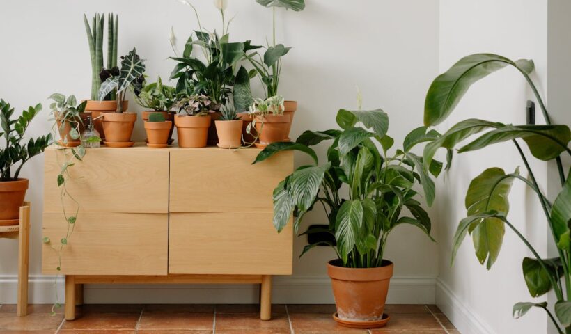 Kunstplanten binnen: ga voor matte bladeren bij veel daglicht