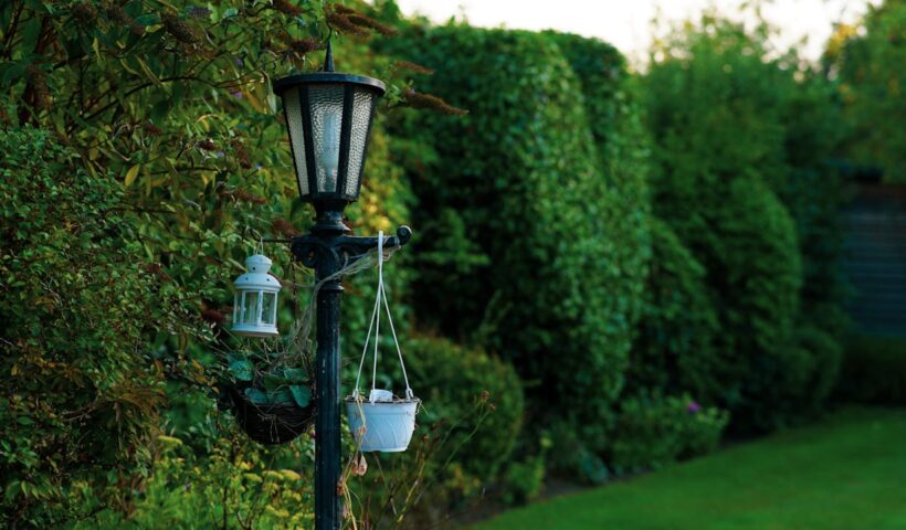 Tuinieren met water: de hotste vijvertrends voor dit seizoen